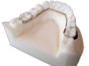 mandibular